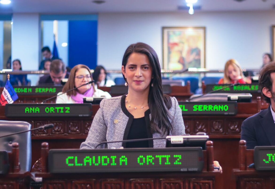 Diputada Ortiz no descarta que Nuevas Ideas presente un paquete de reformas constitucionales