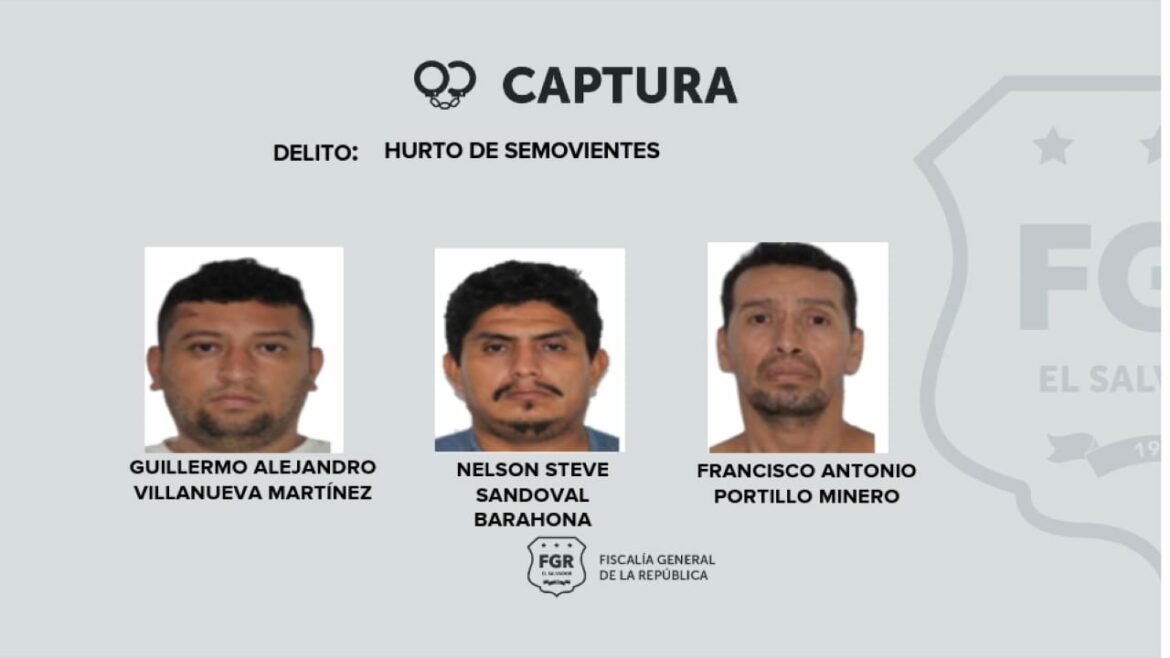 Orden de captura para sujetos que hurtaron y destazaron reses