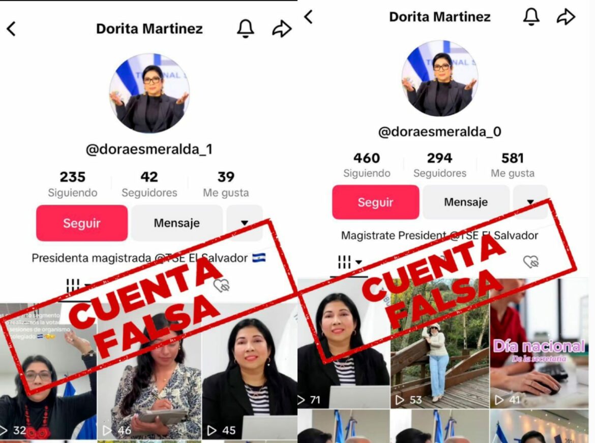 Presidenta del TSE solicita a la FGR iniciar investigaciones contra personas que crean cuentas falsas en redes sociales con su nombre