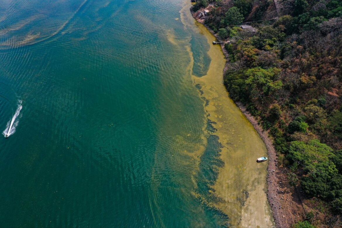 ¿Cómo pretende la ASA, ‘reventar’ las cianobacterias del lago de Coatepeque?
