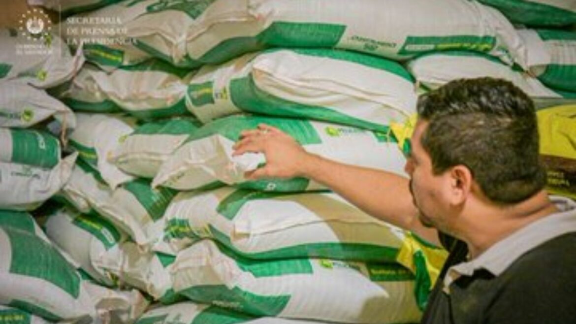 En el tercer día, Defensoría del Consumidor continúa inspecciones en más de 80 productos agrícolas en San Miguel