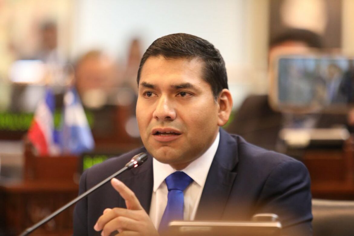 ARENA tendrá representación en las comisiones Política y Salud, Agricultura y Medio Ambiente, informó el diputado Lira