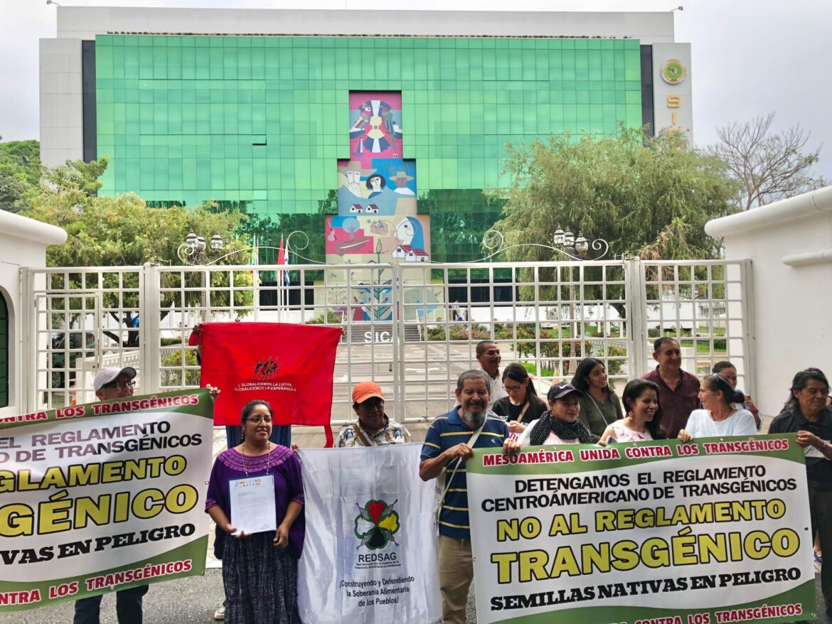 Organizaciones solicitan al SICA derogación del reglamento técnico de bioseguridad de organismos vivos modificados para uso agropecuario