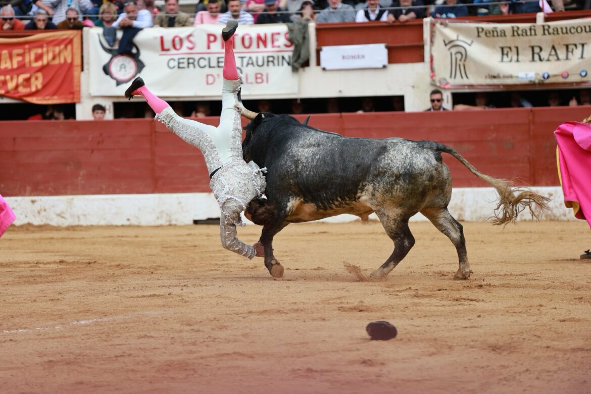 El torero español Román Collado, grave tras ser corneado, en Vic-Fezensac