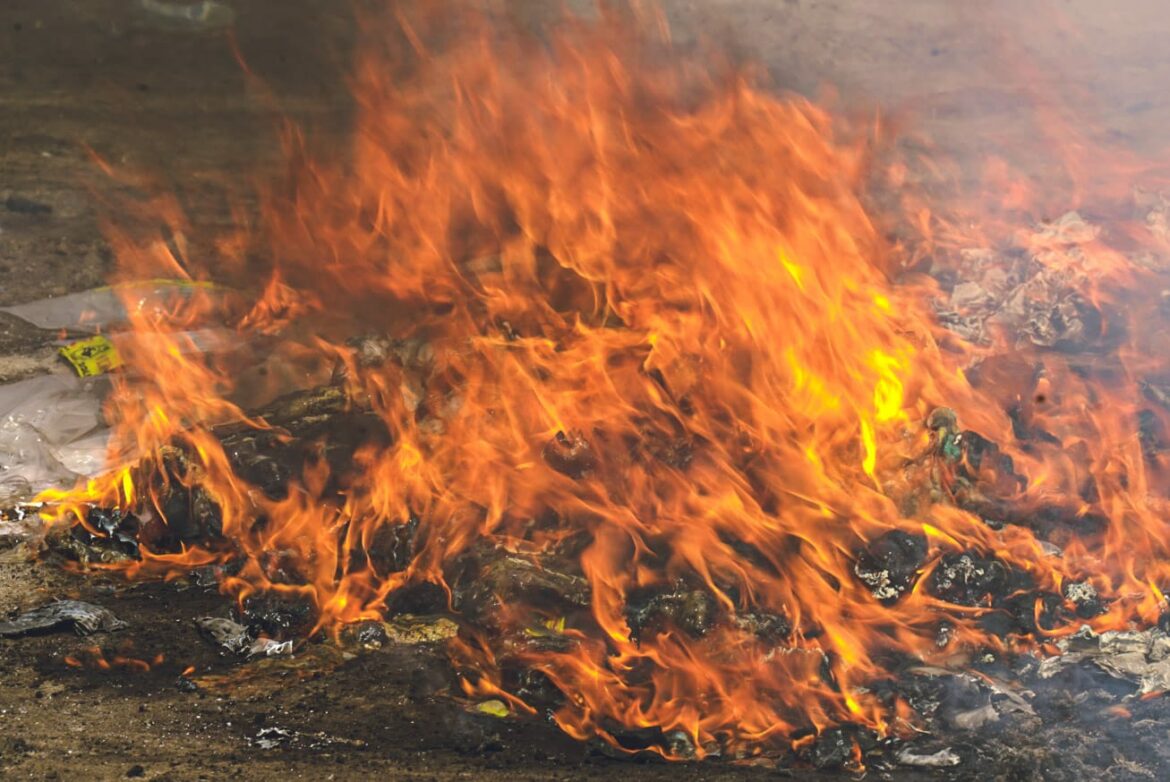 Destruyen droga valorada en más de $62 mil