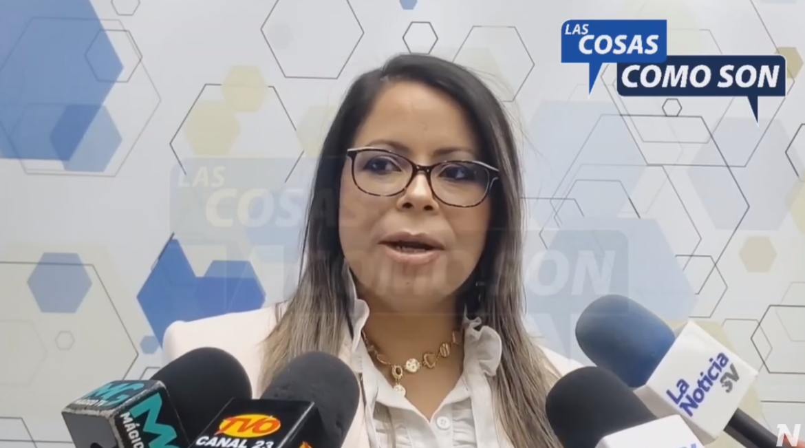 Abogada Pastor: «Me parece que debió conformarse una comisión especial para investigar el caso COSAVI»
