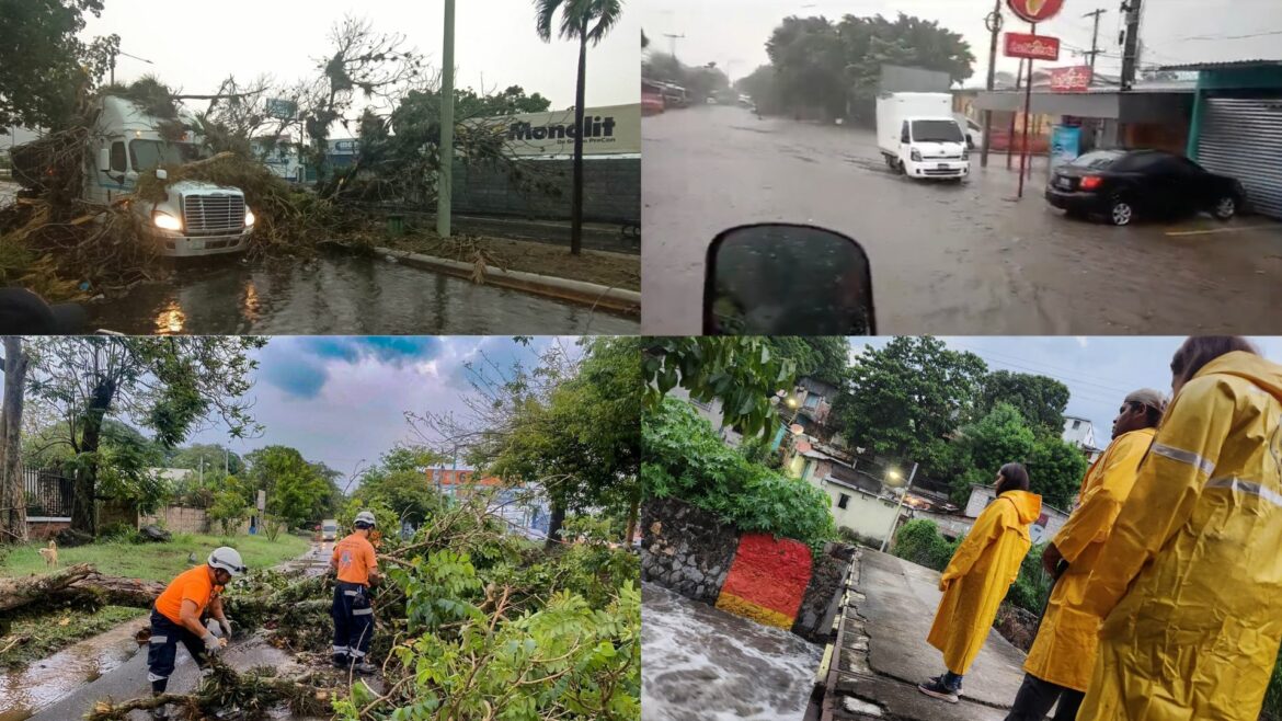 Lluvias provocan estragos: inundaciones, caída de árboles, ramas y postes
