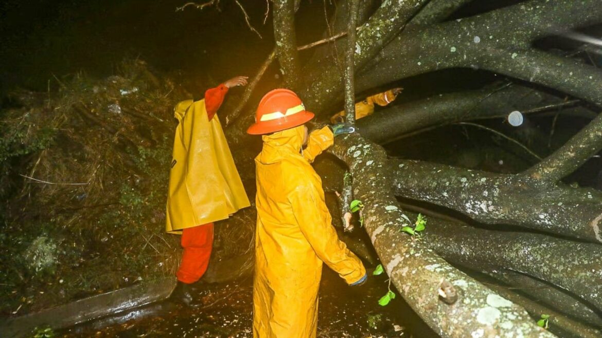 Deslizamiento de taludes, árboles caídos y viviendas afectadas fueron reportadas en las últimas lluvias