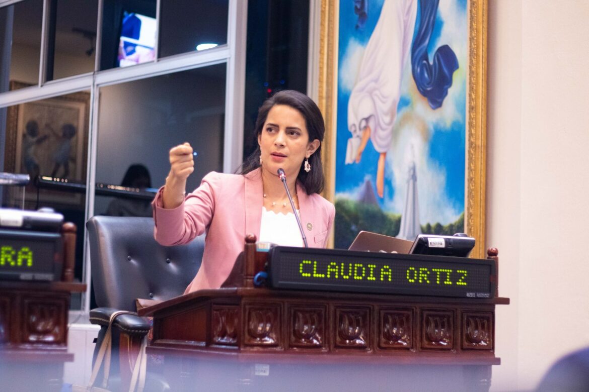 Diputada Ortiz asegura que es urgente crear una Ley de Cambio Climático: «el tema de la ecología es importantísimo»