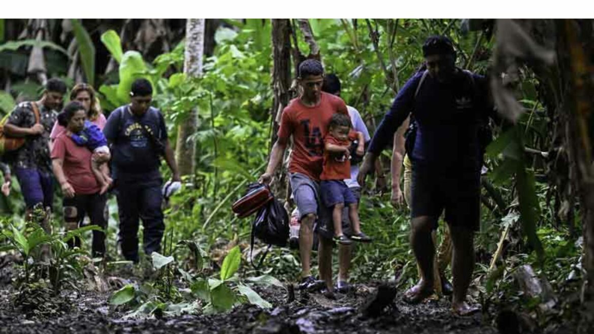 Más de 170,000 personas han transitado por la selva del Darién desde enero, informa Panamá