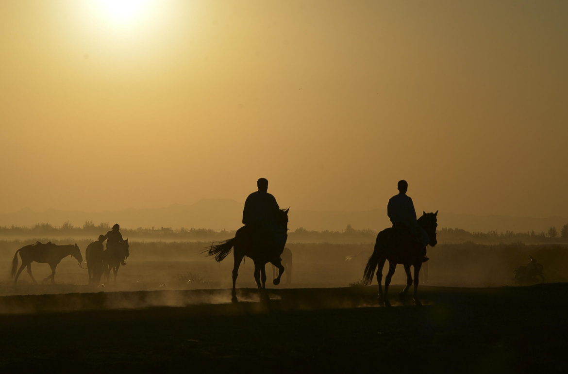 Cómo el caballo doméstico conquistó el mundo hace 4.200 años