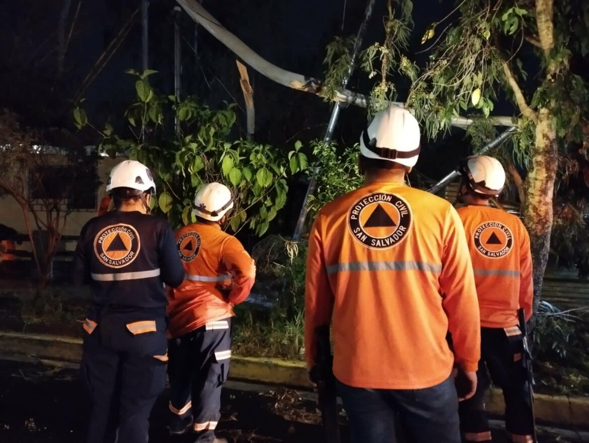 Realizan labores de remoción de árbol caído en Ahuachapán