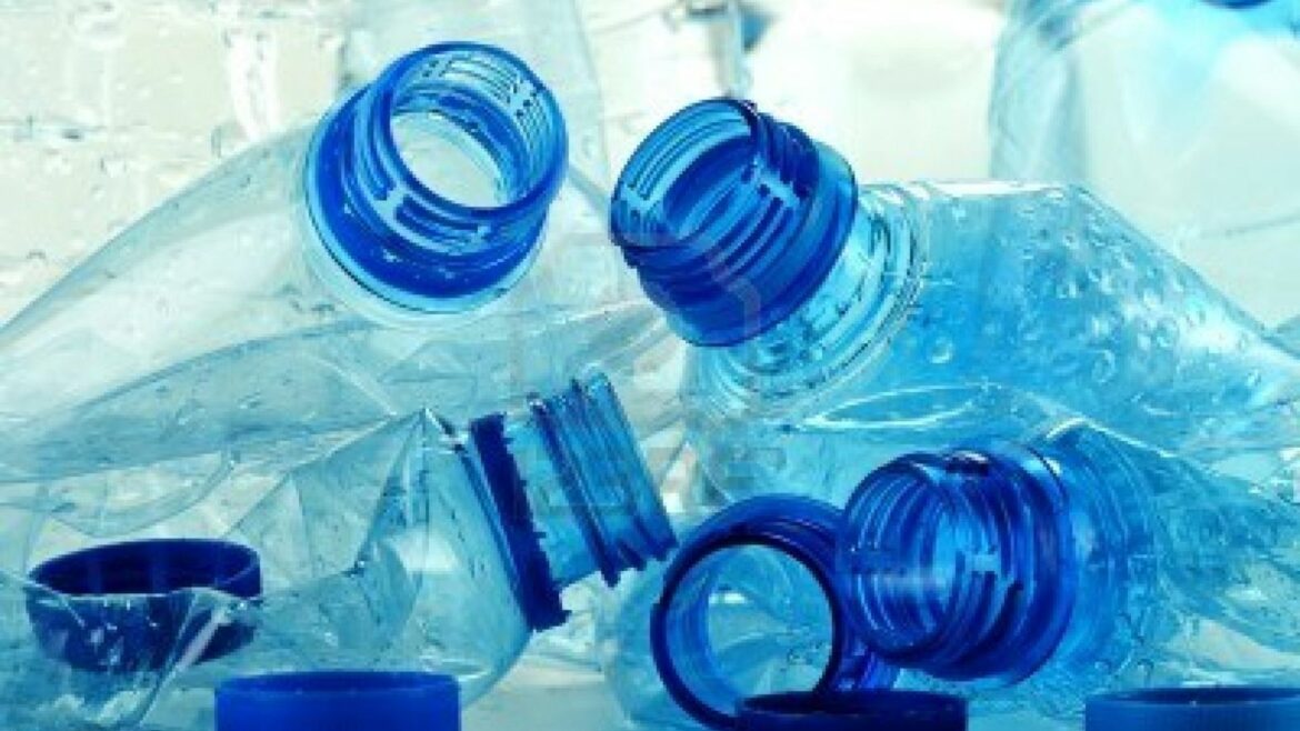 CESTA solicita una política de turismo ecológico para reducción de plástico en empresas en el país
