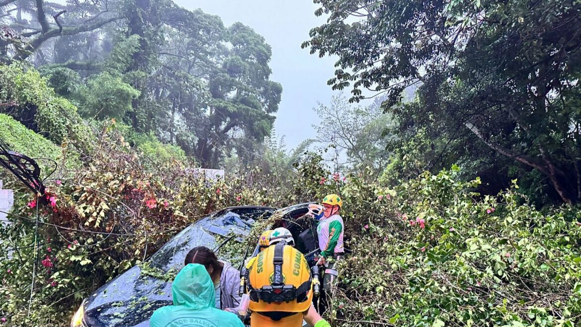 Rayo impacta con un árbol, dejando un fallecido y un lesionado en carretera a Los Planes de Renderos