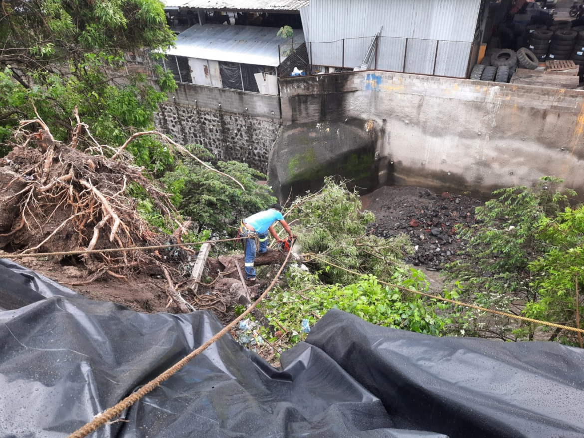 Alcaldía de San Salvador Centro remueve árboles caídos por lluvias