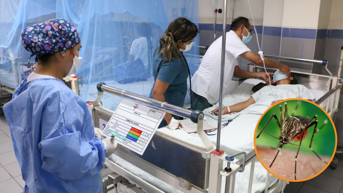 El Salvador confirma su primera muerte por dengue, tras cinco años sin decesos