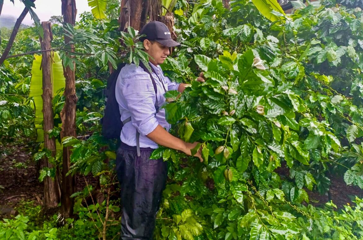 Agricultura inicia plan de recuperación tras las lluvias con el recuento de daños
