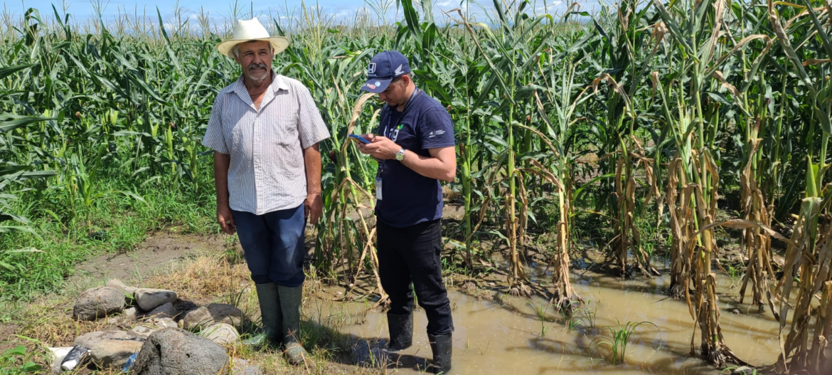 MAG continúa recolección de datos de daños a los cultivos por lluvias de la semana pasada