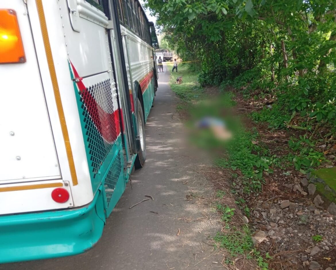 Una mujer falleció y un bebé resultó herido tras ser impactados por autobús de la ruta 351 en Jucuarán