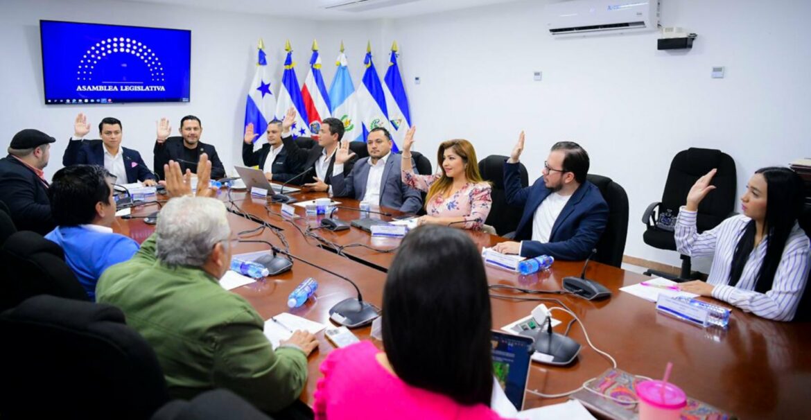En la próxima plenaria podría aprobar crear el Organismo para la Implementación del Programa de Energía Nuclear