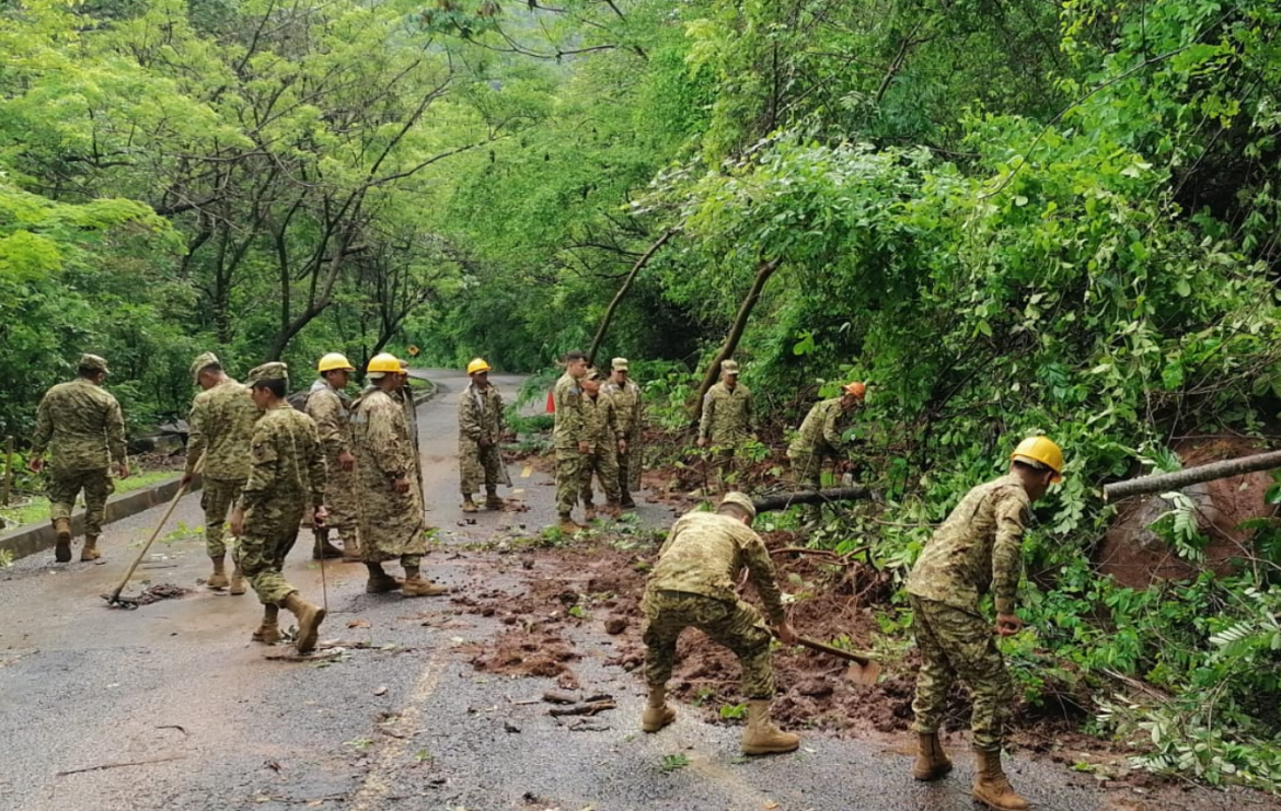 26 árboles caídos, 27 vías obstruidas y 18 deslizamientos  por lluvias en las últimas 24 horas
