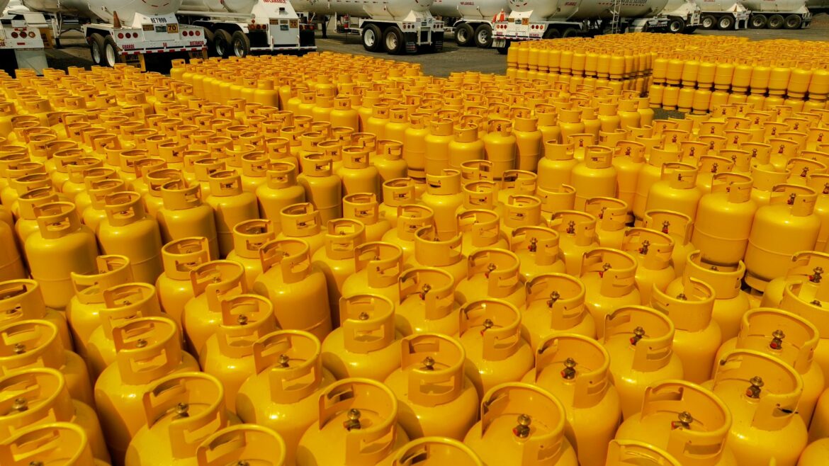 ¿Cuáles son los precios del gas licuado para el mes de julio de 2024?