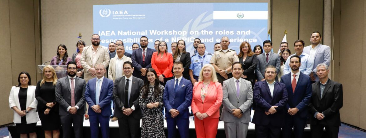 Taller sobre los Roles y Responsabilidades del Grupo de Trabajo de Energía Nuclear