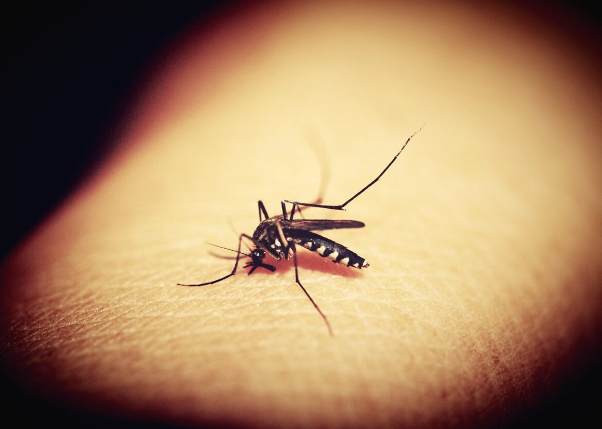 Ministro Alabi confirma tercer fallecido por dengue en El Salvador
