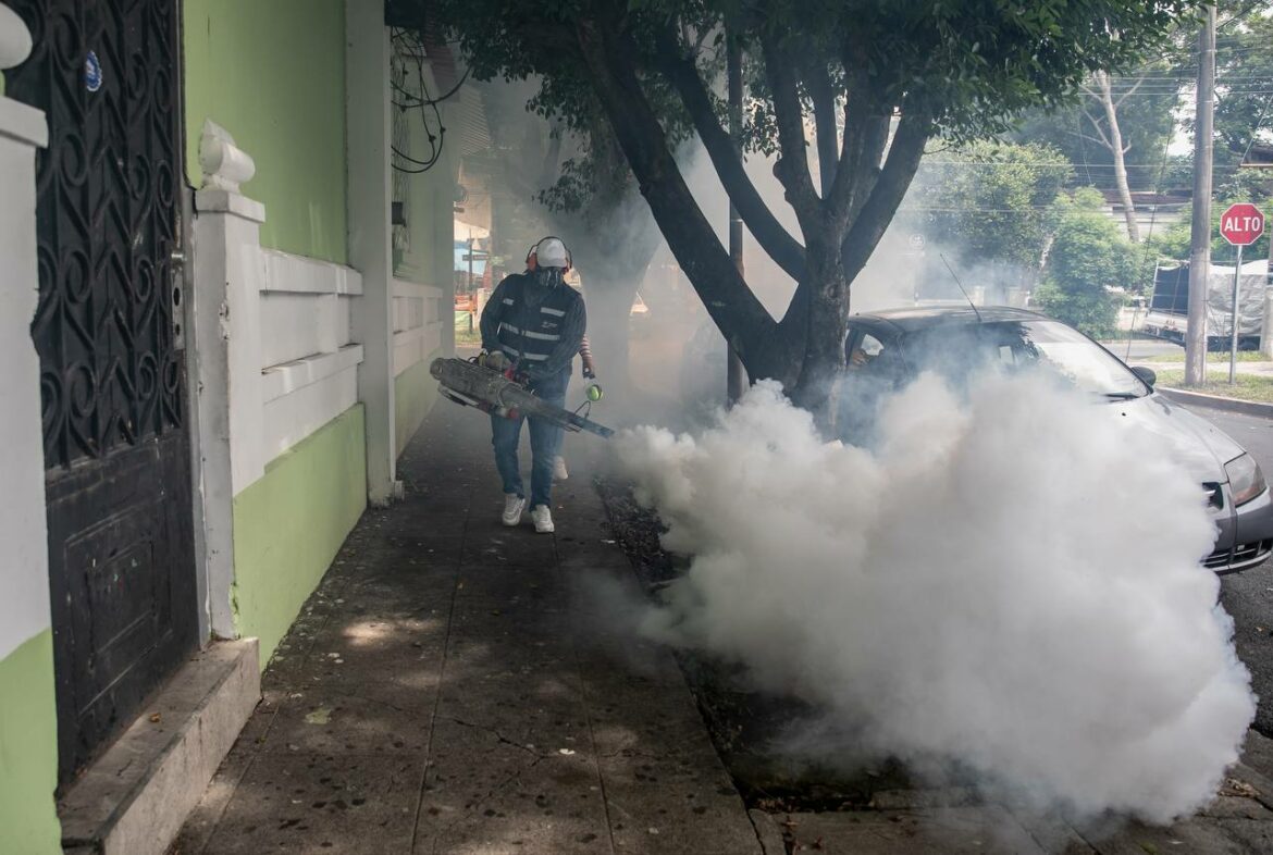 Salud intensifica jornadas antivectoriales y de fumigación en zonas con mayor casos de dengue
