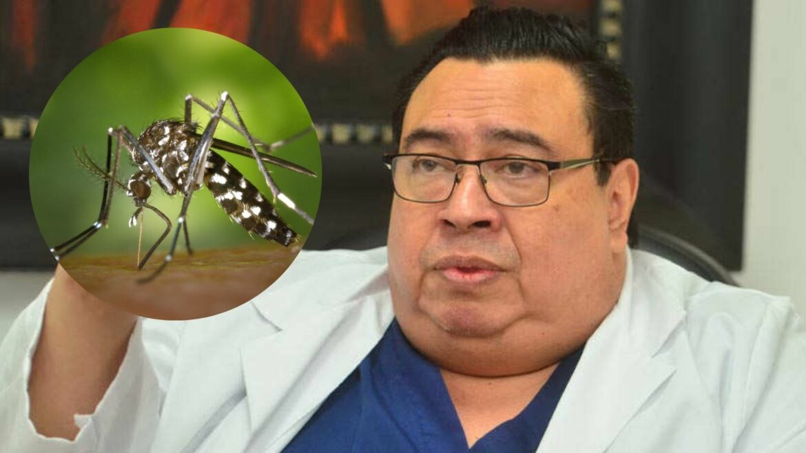«Lamentablemente, van a haber más fallecidos por dengue», advierte infectólogo Panameño