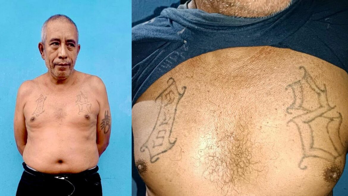 Capturan a homeboy de la 18S en San Miguel Norte; ministro Monroy: «Continuamos en la búsqueda de los terroristas»
