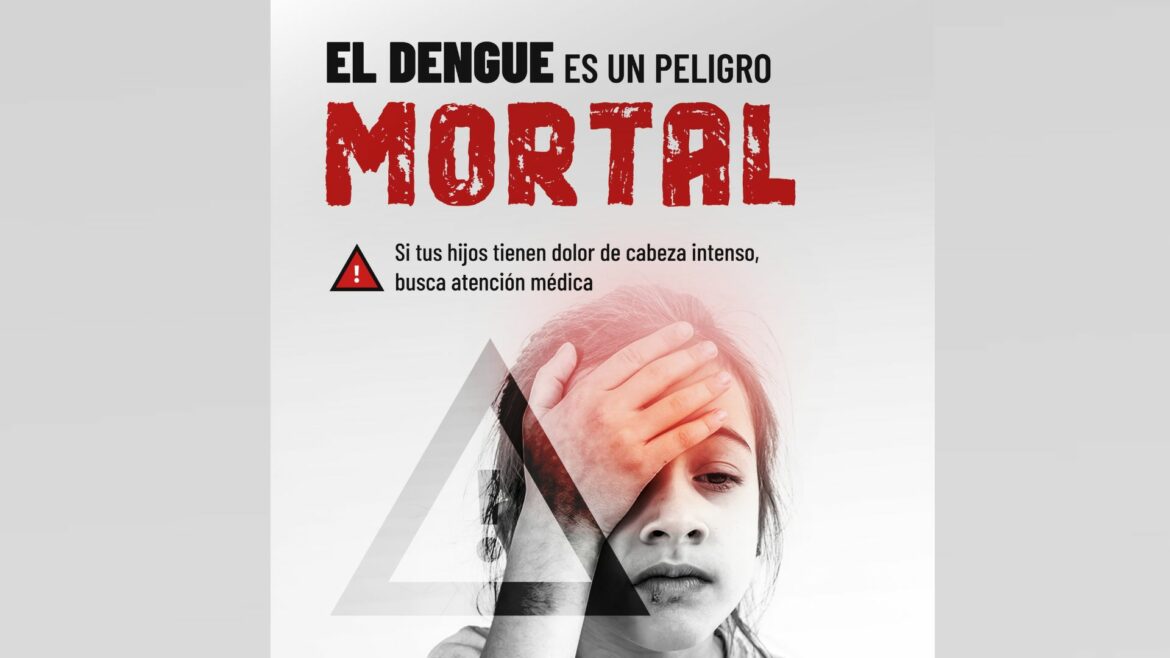Asciende a siete el número de casos de dengue en estado grave, según el Minsal