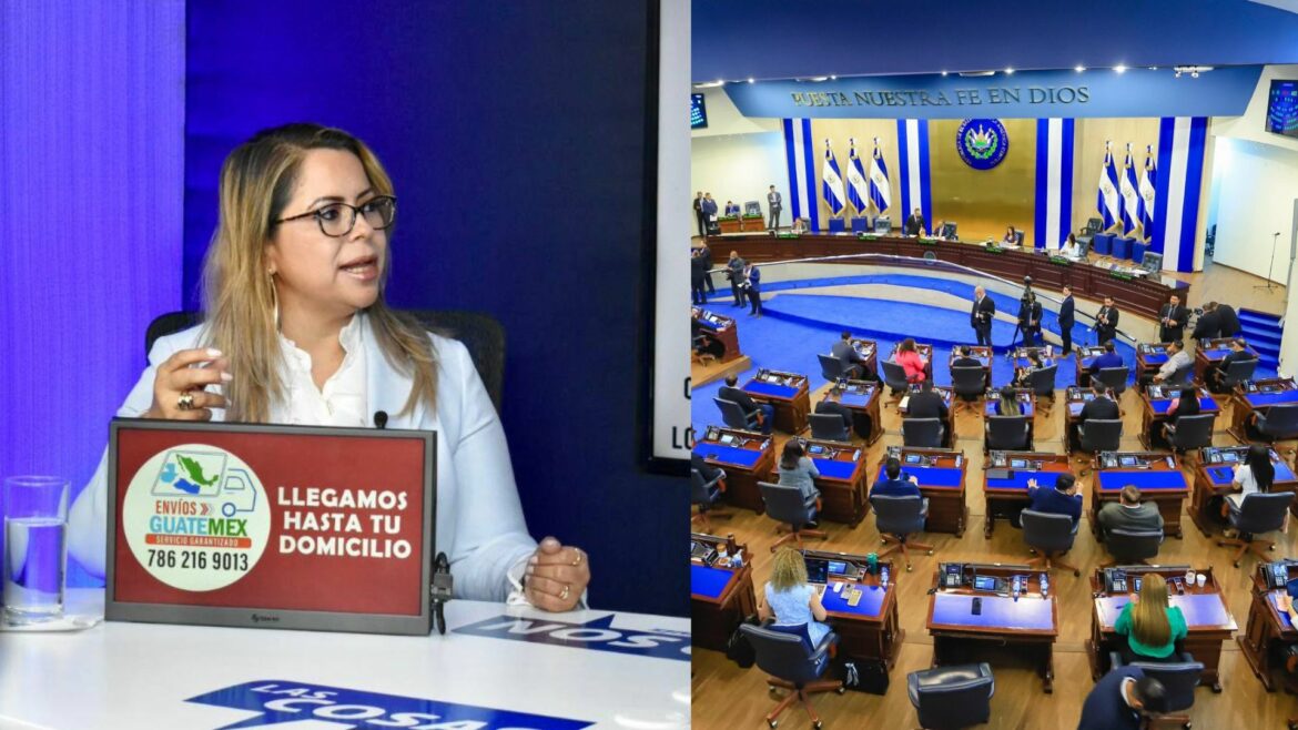 Diputados no «necesitan» agentes PPI porque «estamos en un país seguro», afirmó Pastor