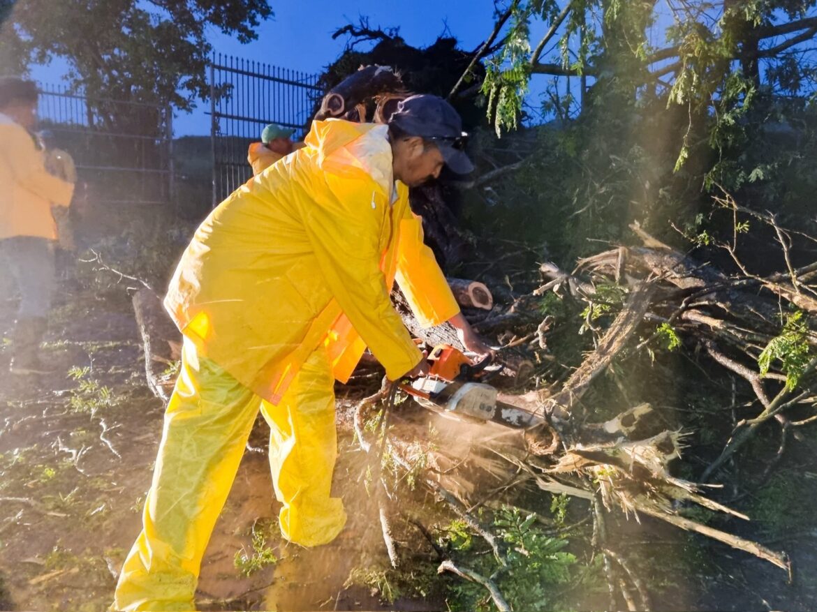 Alcalde de San Miguel Centro: «Debido a la fuerte tormenta, hemos recibido múltiples reportes de árboles caídos»