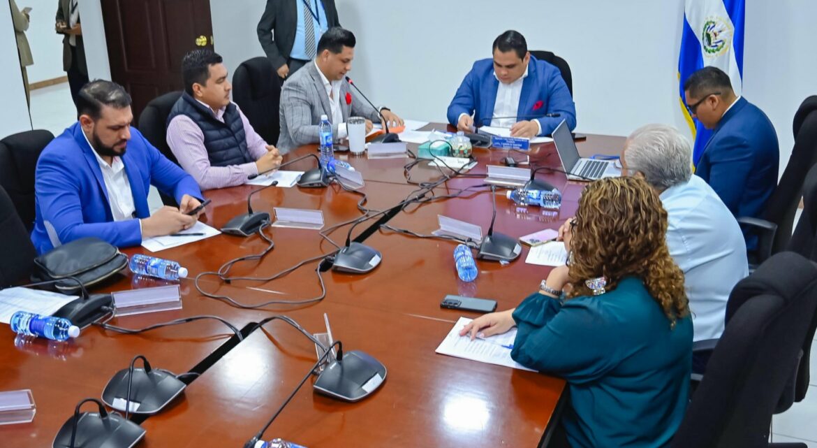 Estos serían los requisitos para matricular armas de fuego que se mantienen ilegales, de ser aprobado por la Asamblea Legislativa