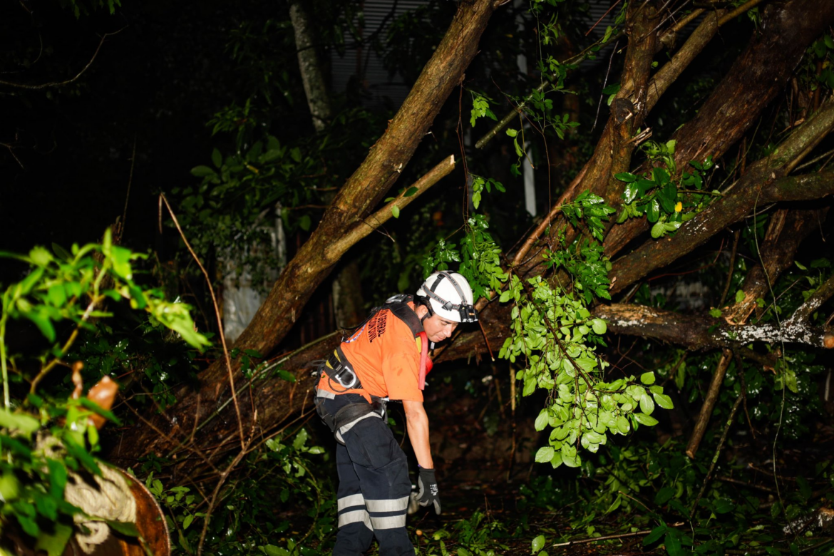 Árbol de gran magnitud cayó sobre una vivienda en Tonacatepeque