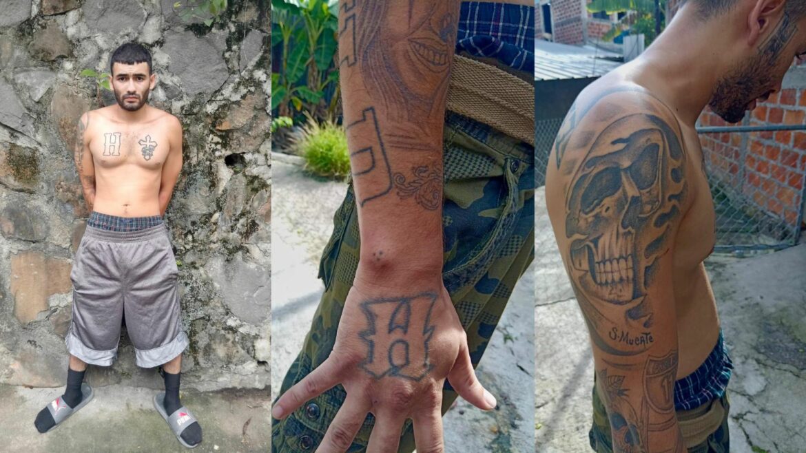 Capturan a homeboy de la MS-13 encargado de mover armas de fuego dentro de la pandilla