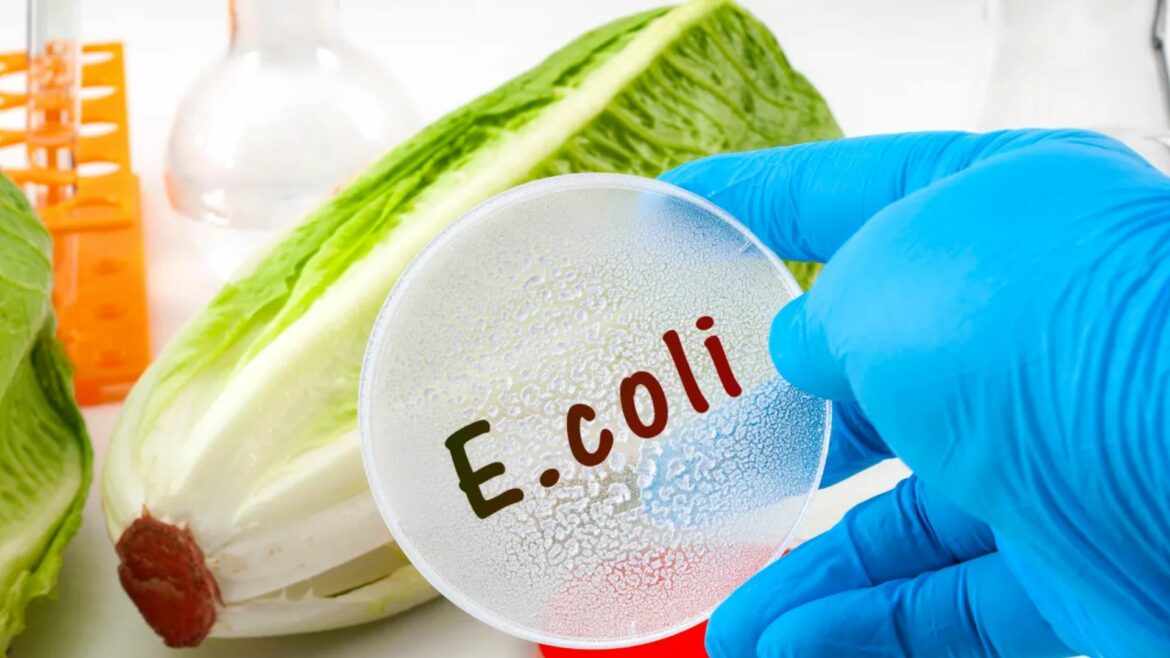Desinfecta la lechuga con solo un ingrediente
