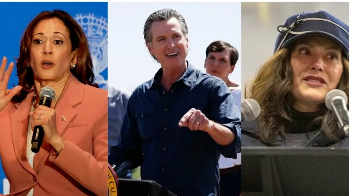 ¿Quién podría sustituir a Biden en la carrera electoral?