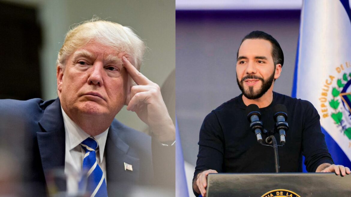 Una de las estrategias de campaña de Trump «será seguir torpedeando al presidente Bukele», aseguró criminólogo Sosa