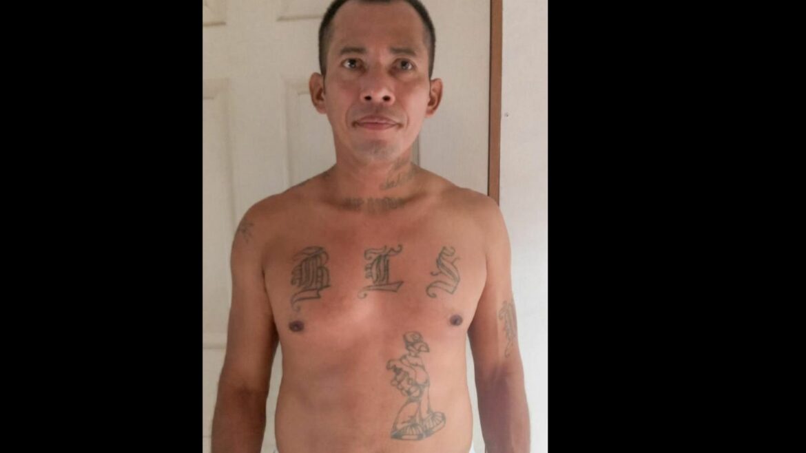 Recapturan a pandillero de la MS, quien habría cumplido condena por homicidio