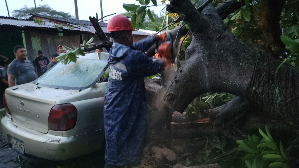 Árbol de gran tamaño cayó sobre un vehículo en calle conduce hacia la Hacienda Astoria, San Pedro Masahuat