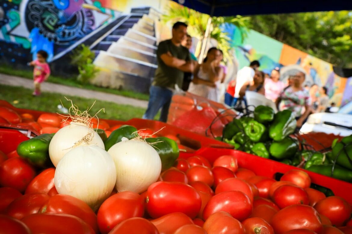 Presidente Bukele informa que los agromercados abrirán más temprano y a precios aún más bajos