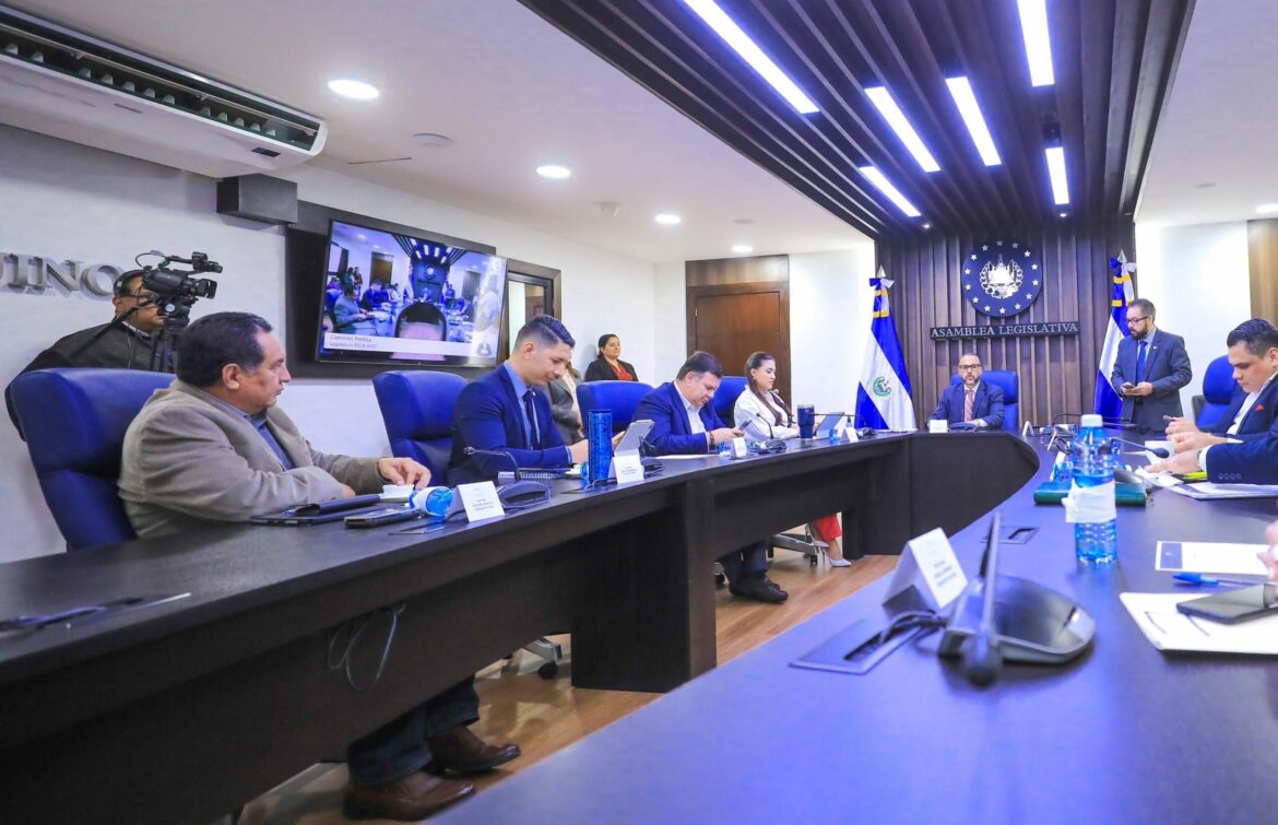 Criticas a NI por estar eligiendo magistrados del TSE con las reglas de ARENA y del FMLN