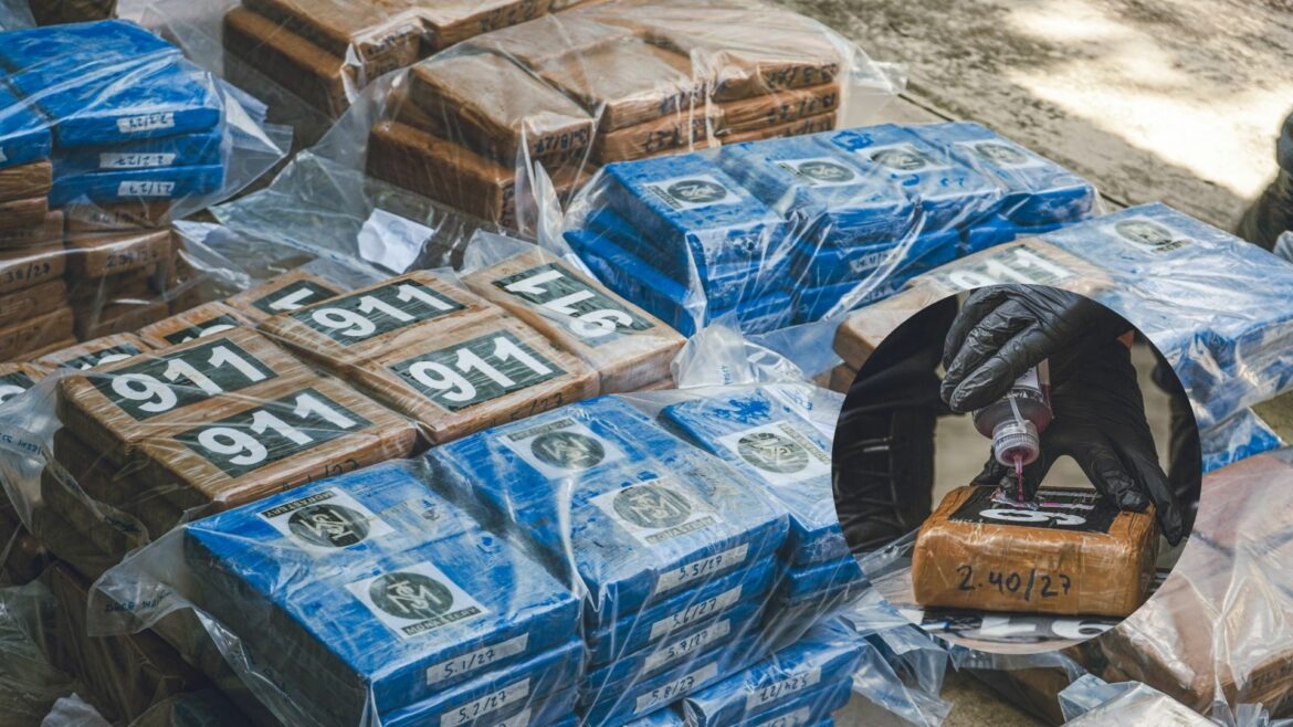FGR y PNC verifican paquetes de droga valorada en más de $19 millones que serán destruidas