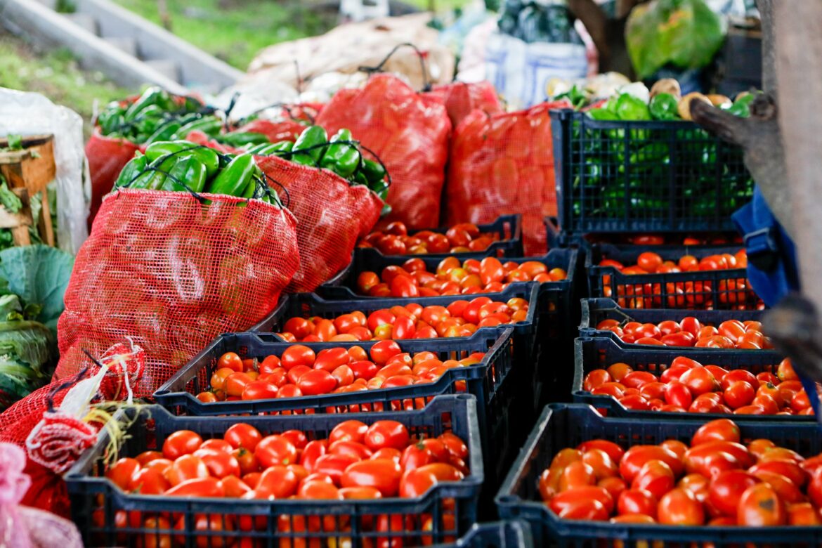 Legisladores avalan iniciativas para el funcionamiento del Centro de Desarrollo y Comercio Agropecuario