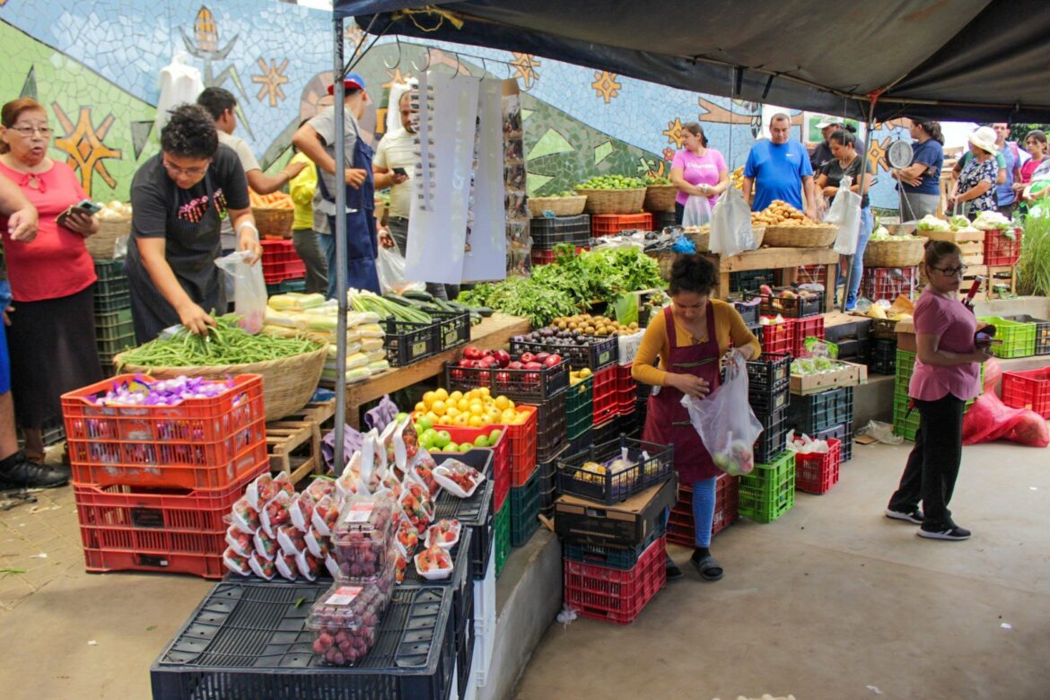 CDC aprueba medida de Agromercados y centros de abasto, propuesto por el gobierno del presidente Bukele