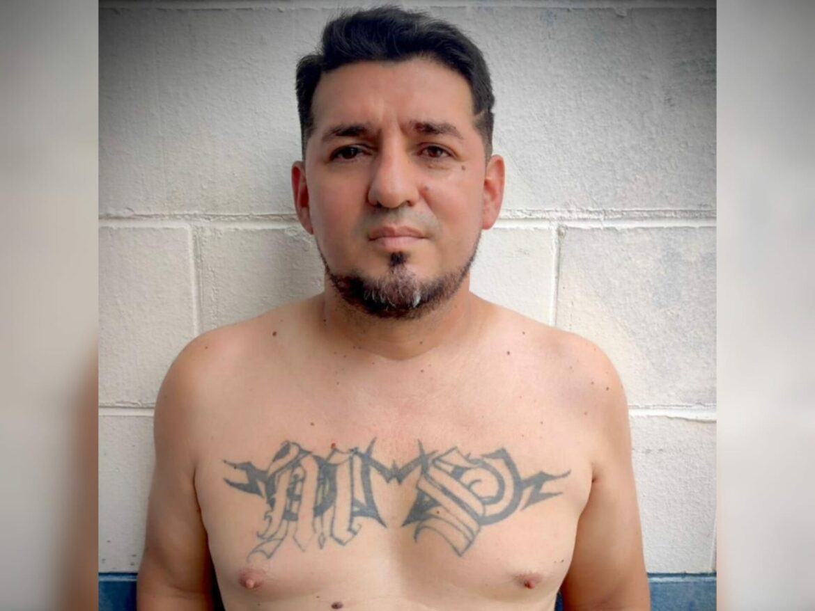 Ubican a homeboy de la MS-13 que se dedicaba a extorsionar