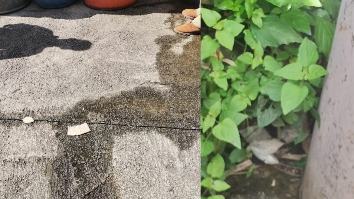 Ministro de Salud pide a la población hacer buen uso del abate «para ganarle la batalla al dengue»