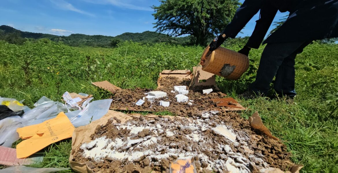 Destruyen más de 5 mil gramos de droga, valorada en más de $62 mil